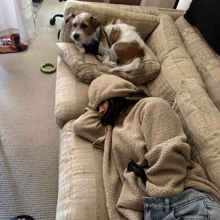 Two puppies asleep together on a blanket